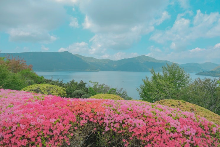 일본여행 2일차 : 온시하코네공원 전망대, 하코네신사, 평화의토리이, 모토하코네