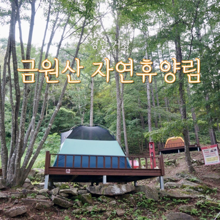  금원산자연휴양림 숲속음악회 열대야 없는 여름