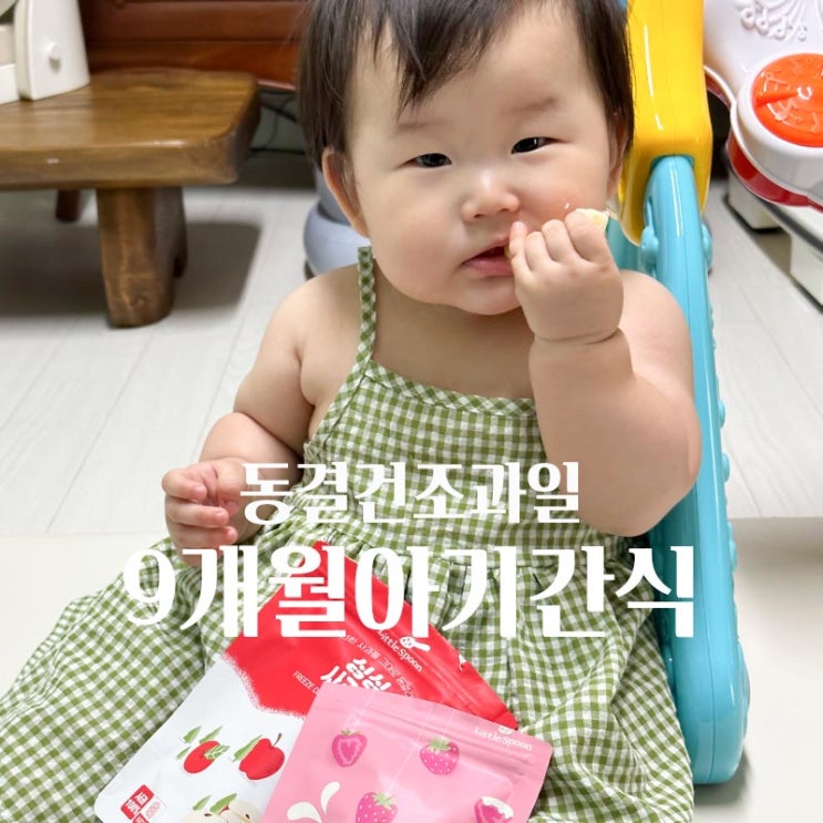  아기과자먹는시기 9개월 돌 아기간식으로 좋은 요거트과자