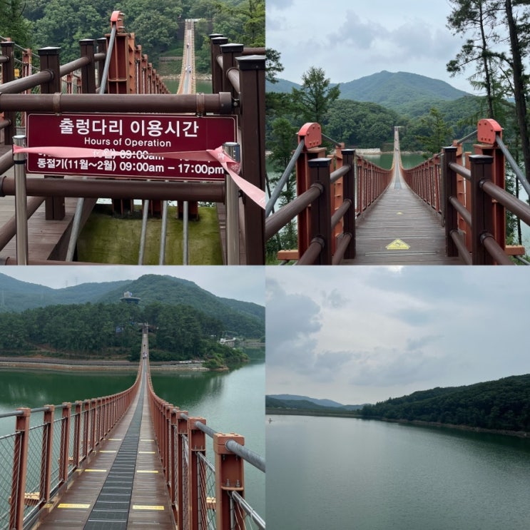  [파주 마장호수 출렁다리] 이용시간, 주차장 파주 가볼만한곳/서울 근교 드라이브/당일치기