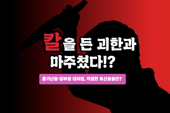 칼을 든 괴한과 마주쳤다!? 삼단봉, 가스총, 전기충격기에 심지어 너클까지 사고 있다구요?