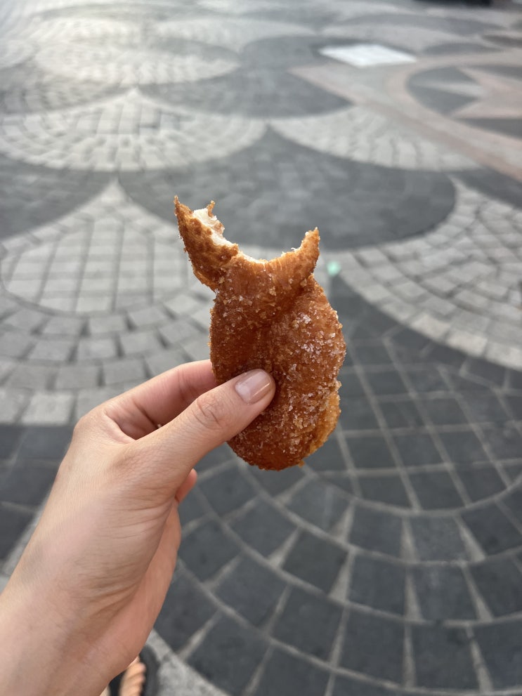  속초, 바삭 촉촉한 꽈배기 맛집 코끼리 만두분식