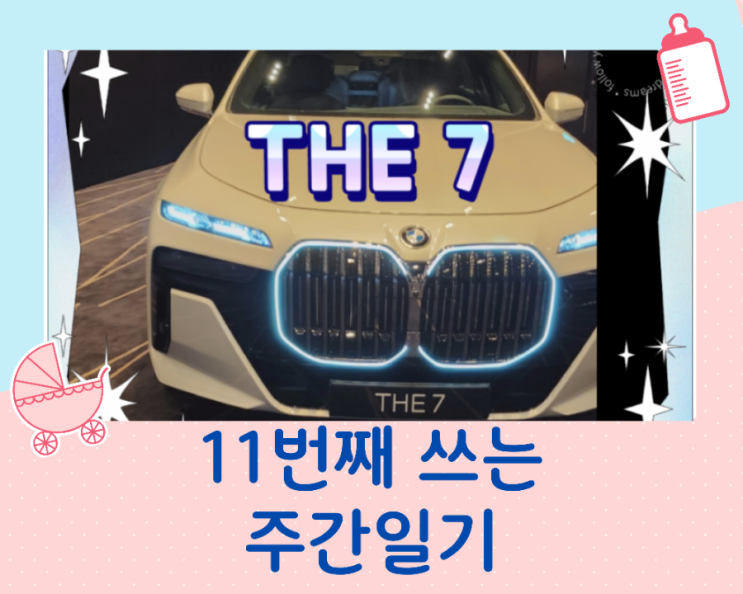  11월 네번째 주간일기