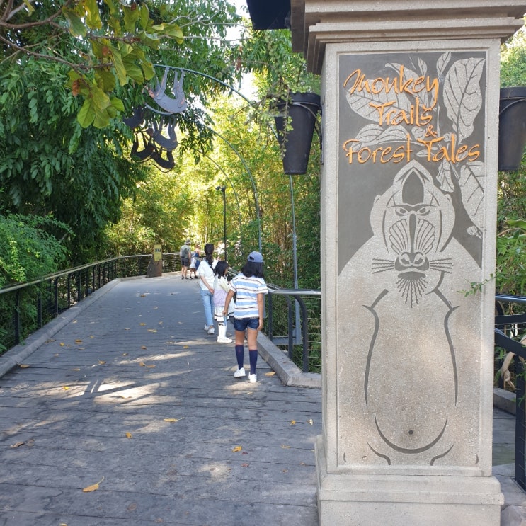  샌디에고 동물원 원숭이 대탐험  (Sandiego Zoo Monkey Adventure)