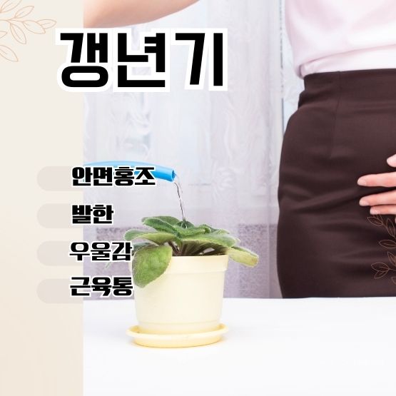  훼라민큐 백수오로얄 비교 갱년기 증상