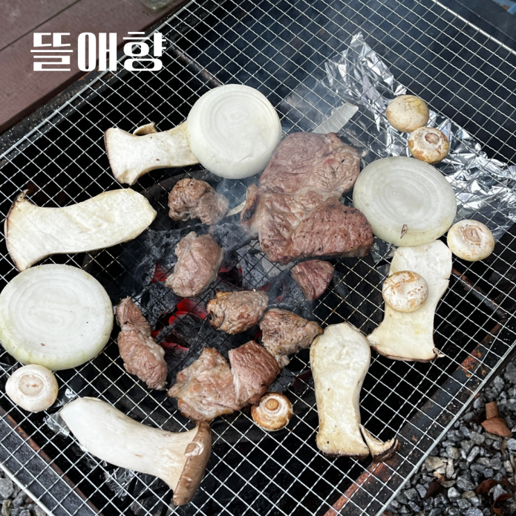 청주야외바베큐 뜰애향 청주 아이들 데리고 놀러가기 좋은 곳 청주야외바베큐 뜰애향 청주 아이들 데리고 놀러가기 좋은 곳
