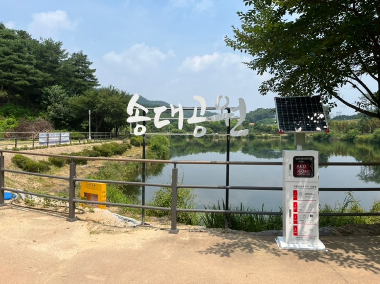  청주 오창 산책하기 좋은 곳, 송대근린공원 방문기! 송대제 호수 둘레길 걸어봤어요