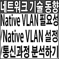 Native VLAN의 필요성/Native VLAN 설정 및 통신과정 분석/Native VLAN과 Default VLAN 관계 정리