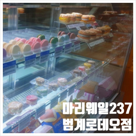  범계역 마카롱 마리웨일237 범계로데오점 처음 먹은 다쿠아즈