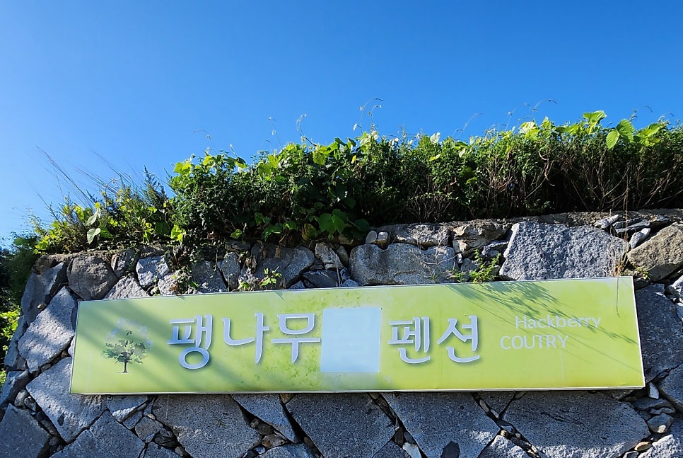 팽나무펜션 사진 1