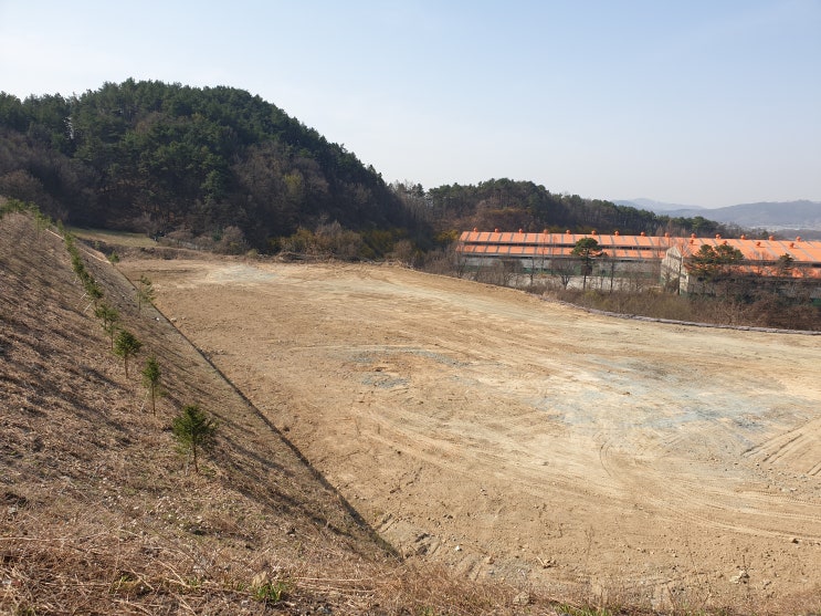  충청북도 음성군, 공장토지매매, 대지16,453(4,977평), 매가 22억 (급매), 공장건축부지, 물류창고부지,