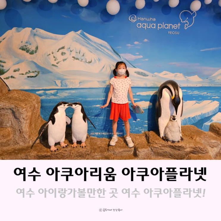여수 아쿠아리움 아이랑가볼만한곳 아쿠아플라넷 여수 아쿠아리움 아이랑가볼만한곳 아쿠아플라넷