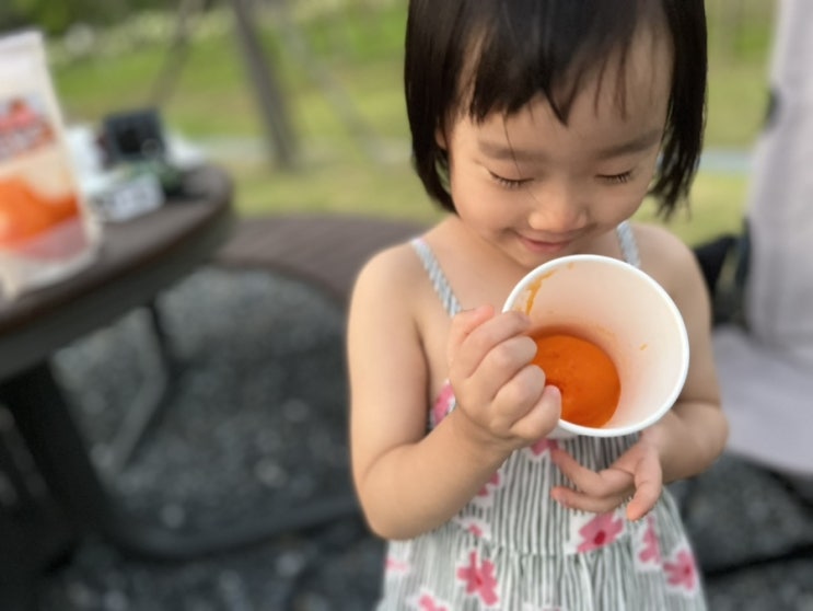  여름철 건강디저트! 5살 어린이의 홍시사랑, 청도군 홍시사랑 아이스 홍시 캠핑장에서 먹은 후기