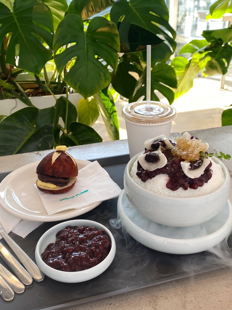  [부산 수영] 푸른 숲이 보이는 초록 초록한 카페 ‘어반플랜트’