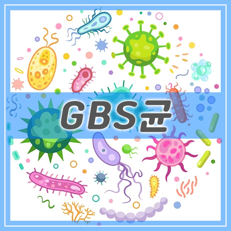  gbs균 검사, 신생아에게 패혈증, 폐렴을 일으킬 수 있는 GBS균 감염