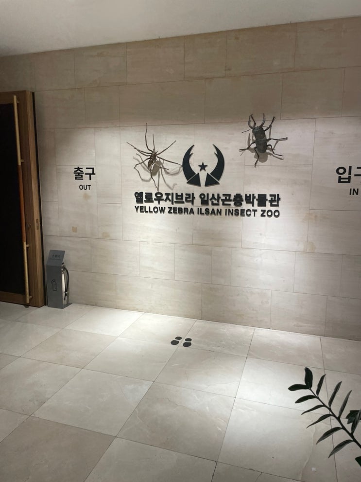  일산 롯데백화점 「옐로우지브라」 곤충 박물관 (26개월 아기)