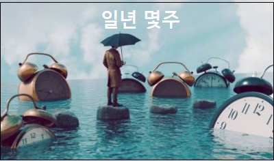 일년 몇주 1년은 몇초