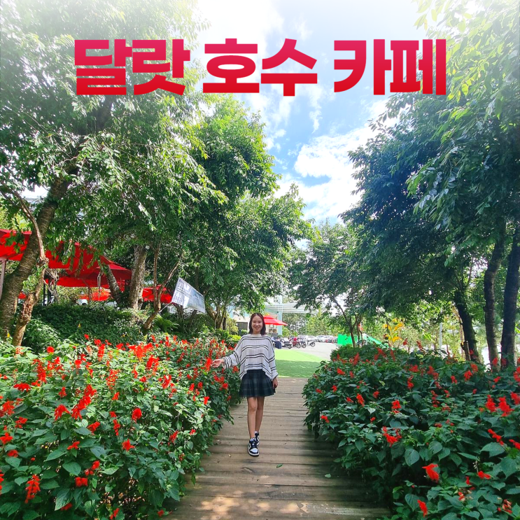 달랏 쑤안흐엉 호수 꽃이 아름다운 정원 카페 달랏 쑤안흐엉 호수 꽃이 아름다운 정원 카페