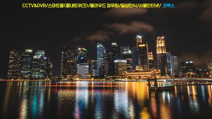  CCTV&DVR/스마트홈(홈네트워크)/클라우드 컴퓨팅/음성인식/사물인터넷/코맥스