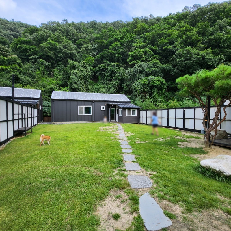사진 3