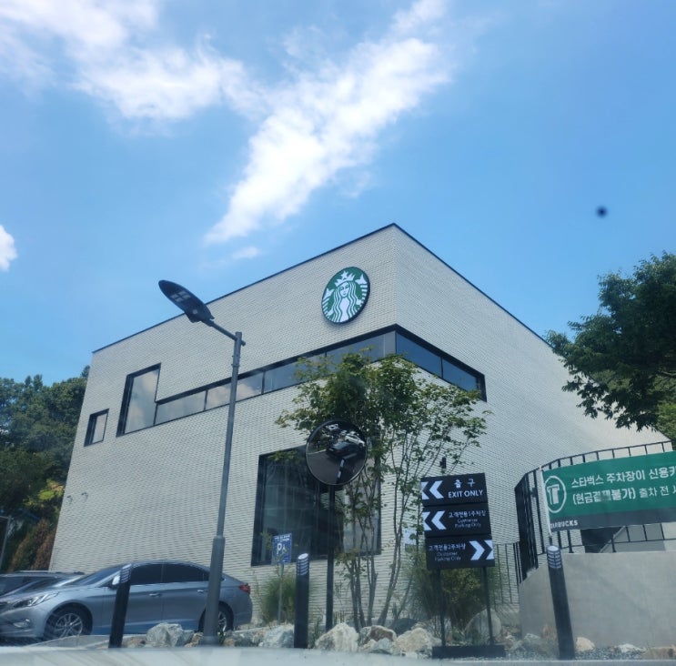  대전에서 제일 큰 스타벅스 용운점 도심 속 정원 신상 대형카페  방문,주차정보