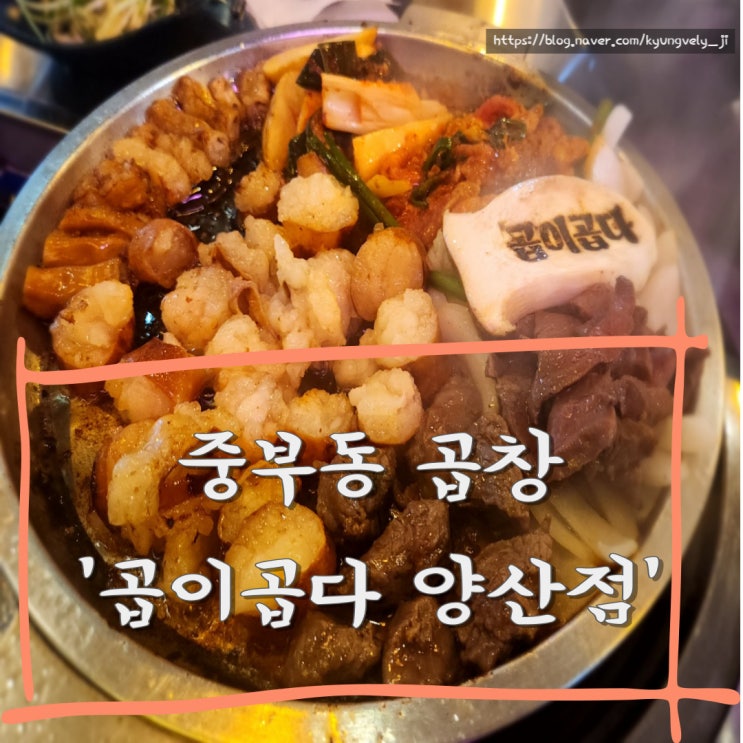  양산 중부동 한우 곱창 맛집 '곱이곱다 양산점'