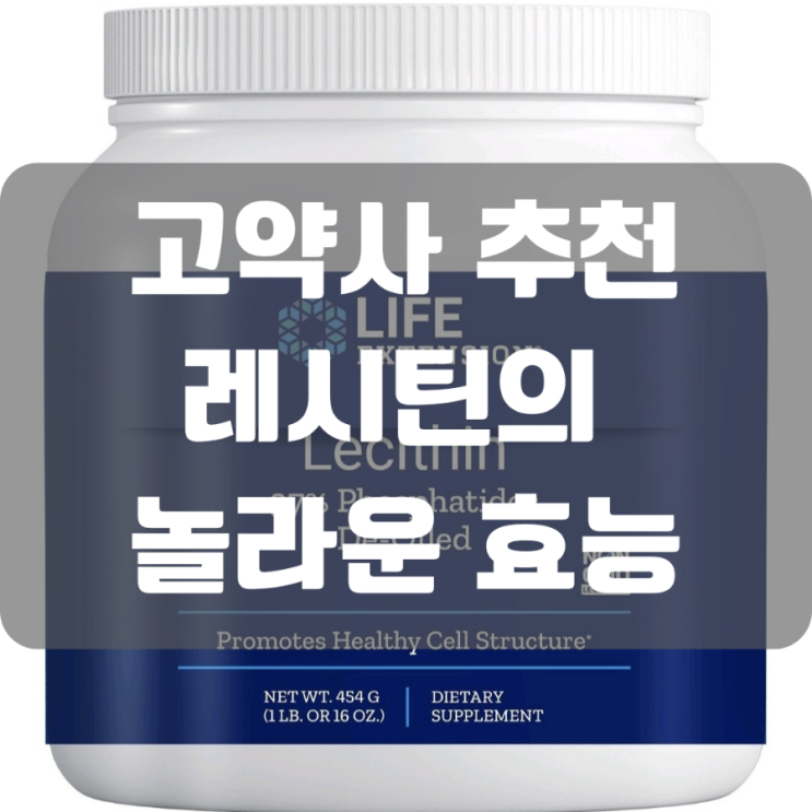  고약사 추천 놀라운 레시틴 효능, 그리고 치명적인 레시틴 부작용 레시틴 복용법