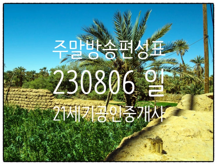 주말 일요일 TV 방송편성표 230806