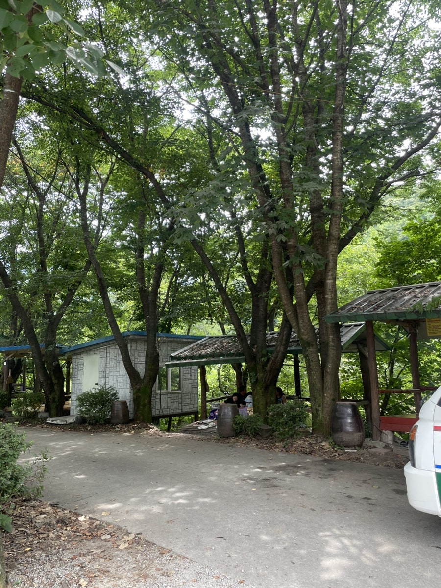 우레골황가네 사진 5