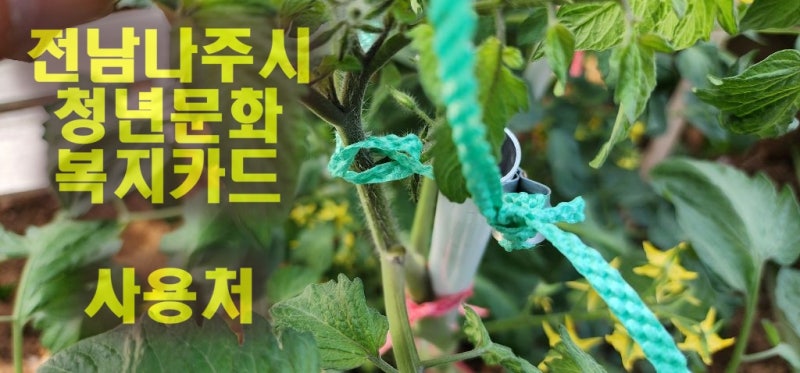 에덴하우스 — 나주시