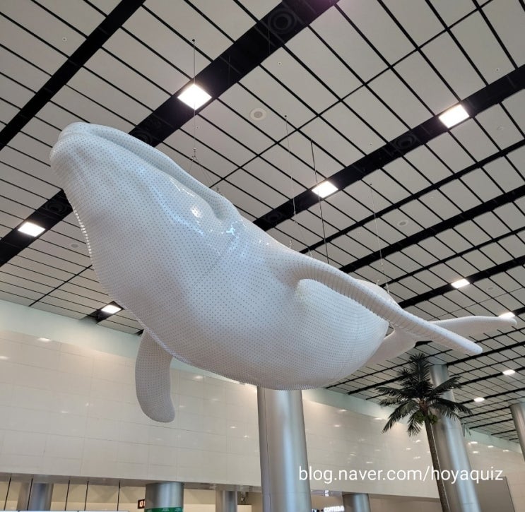  제주도 공항 국내선 이용기(꿀팁: 면세점, 지문등록, 제주마음샌드 등)