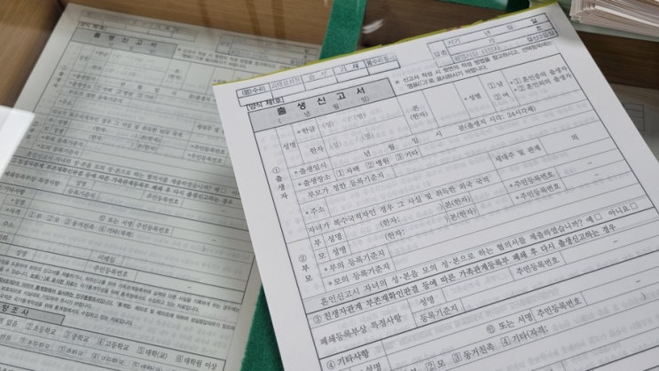  [일상] 신생아 출생신고 하기! + 경기도 광명시 출산축하금 혜택 정리