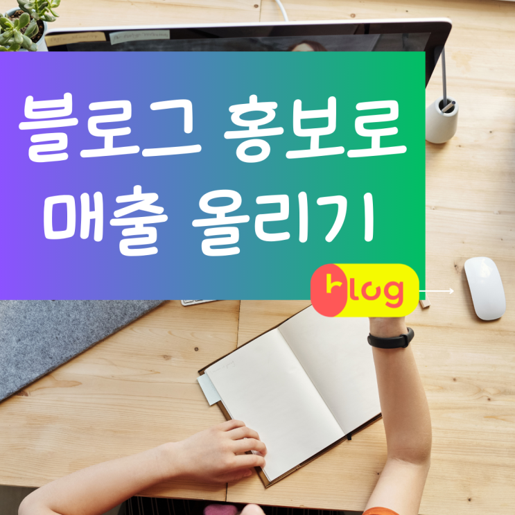  금천구 블로그 홍보 후기성블로그업체 안양 매장홍보 사장님 입소문