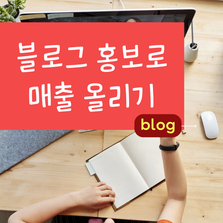  창원 블로그 홍보 매장홍보 진주 사장님추천 마케팅대행사