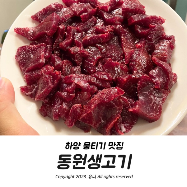  하양 술집 뭉티기 맛집 :: 동원생고기