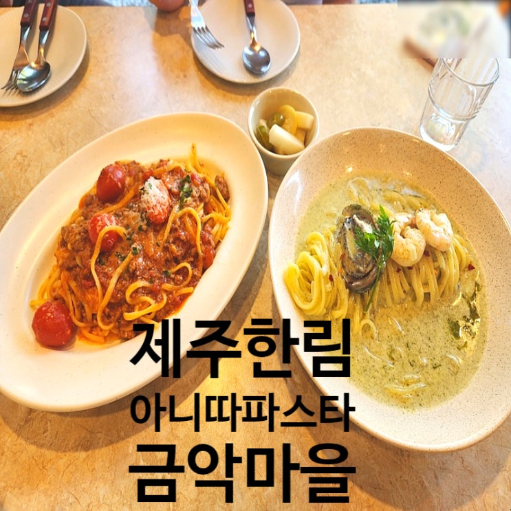  제주 아니따 파스타 백종원 극찬 파스타 내돈내산 후기 골목식당 금악마을