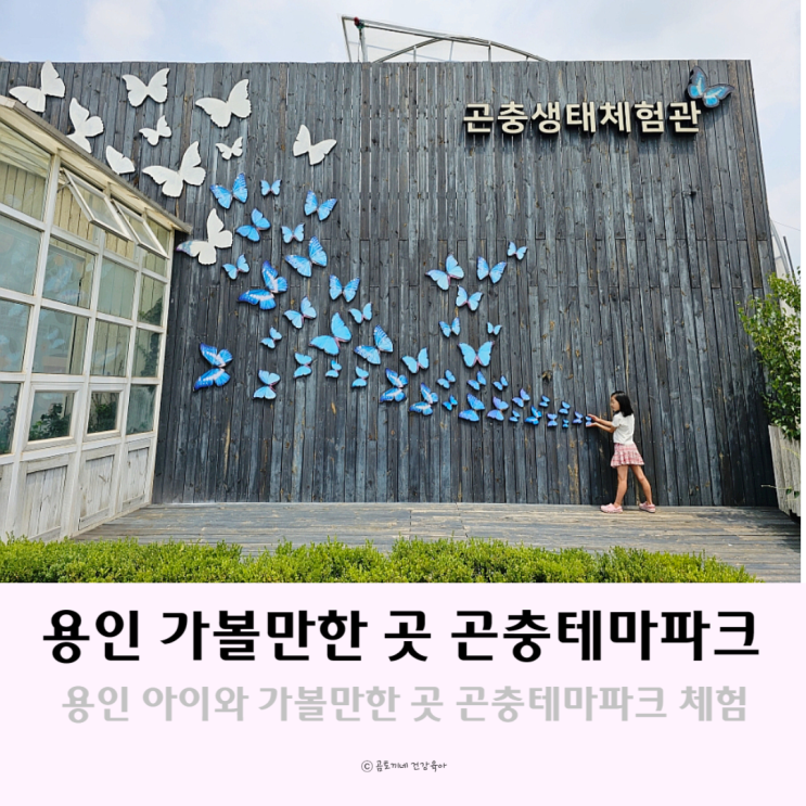 용인 아이와 가볼만한 곳 물놀이와 다양한 체험 가득 곤충테마파크 용인 아이와 가볼만한 곳 물놀이와 다양한 체험 가득 곤충테마파크