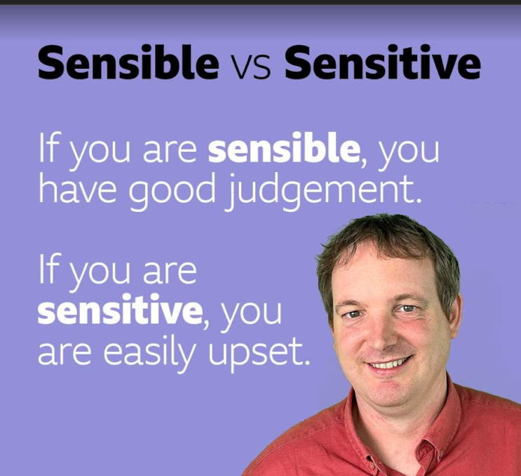 [영어] Sensible과 Sensitive의 차이를 아시나요?