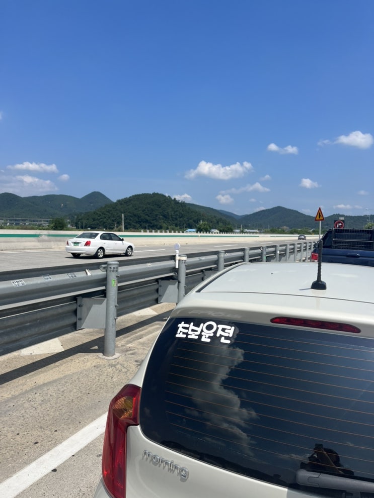  병아리 선영이의 초보 딱지떼기 챌린지