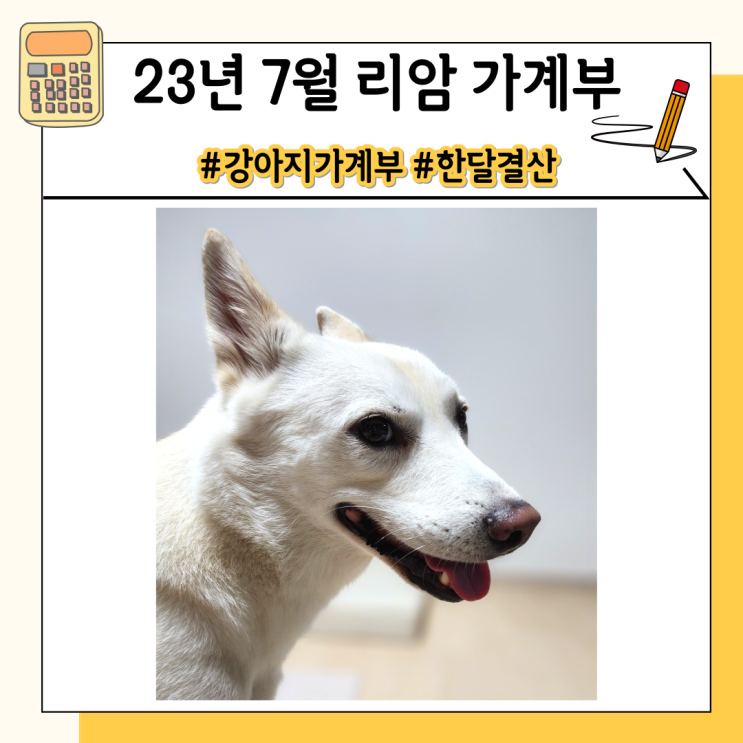 혼자 강아지 키우기 23년 7월 비용과 내역 공개(12kg 진도믹스)