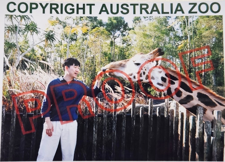  [호주워홀]브리즈번 동물원 방문, 나의 첫 캥거루와 코알라(Australia zoo)