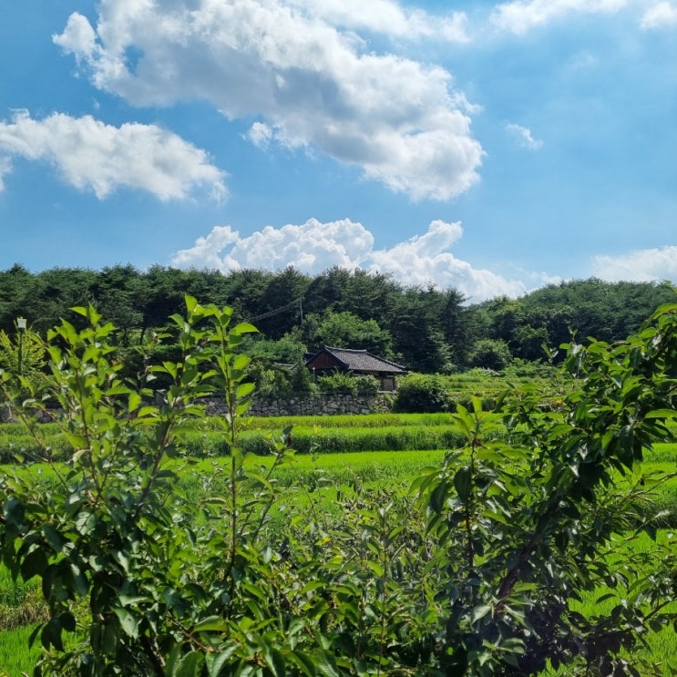 경주 펜션 보니또에서 1박 2일 힐링하고 갑니다