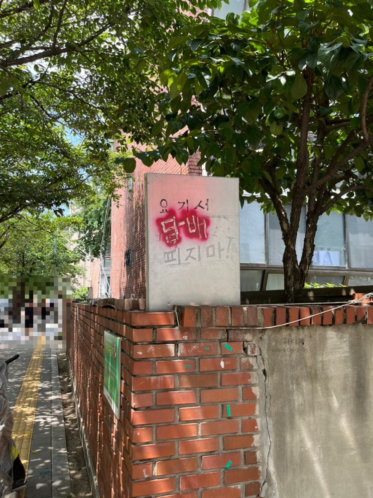  여름 체크인 dump