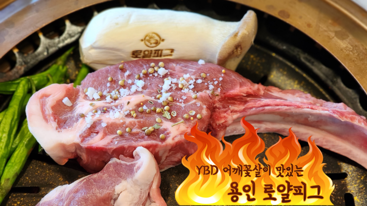  [용인 로얄피그] 토요일은 밥이 좋아 남다른 YBD 어깨꽃살 추천