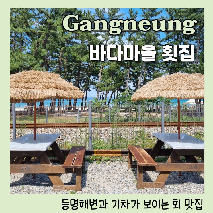  정동진횟집 기차와 바다가 보이는 바다마을횟집