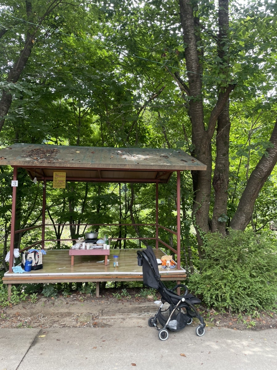우레골황가네 사진 6