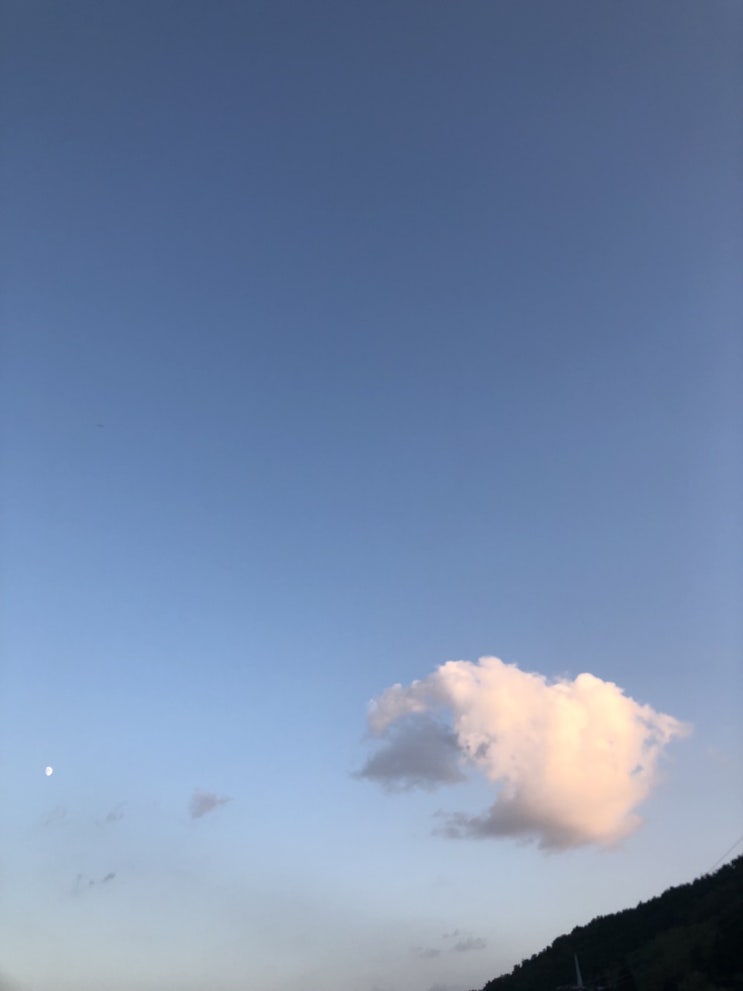  매매 전세 월세 차이점과 장단점