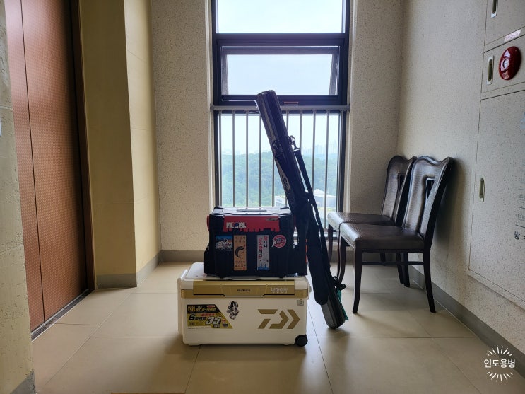  230729(토) 거제도 하모니호 한치낚시 리벤지 후기