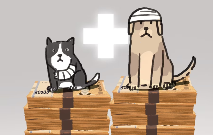  반려동물 진료비 〉 반려인간 진료비
