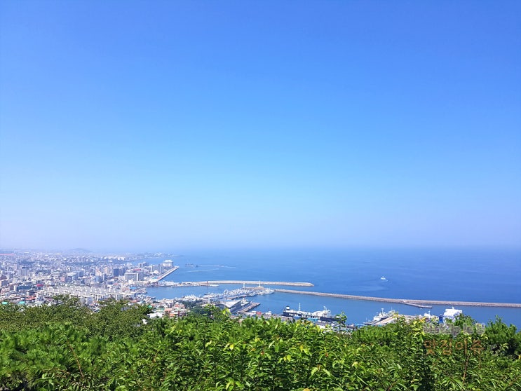  제주여행, 출장 당일치기 / 삼성혈, 제주향노당제주성지, 오현단, 귤림서원, 산지천, 사라봉, 제주시청